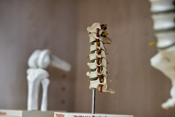 Ambulante Operationen in Regensburg